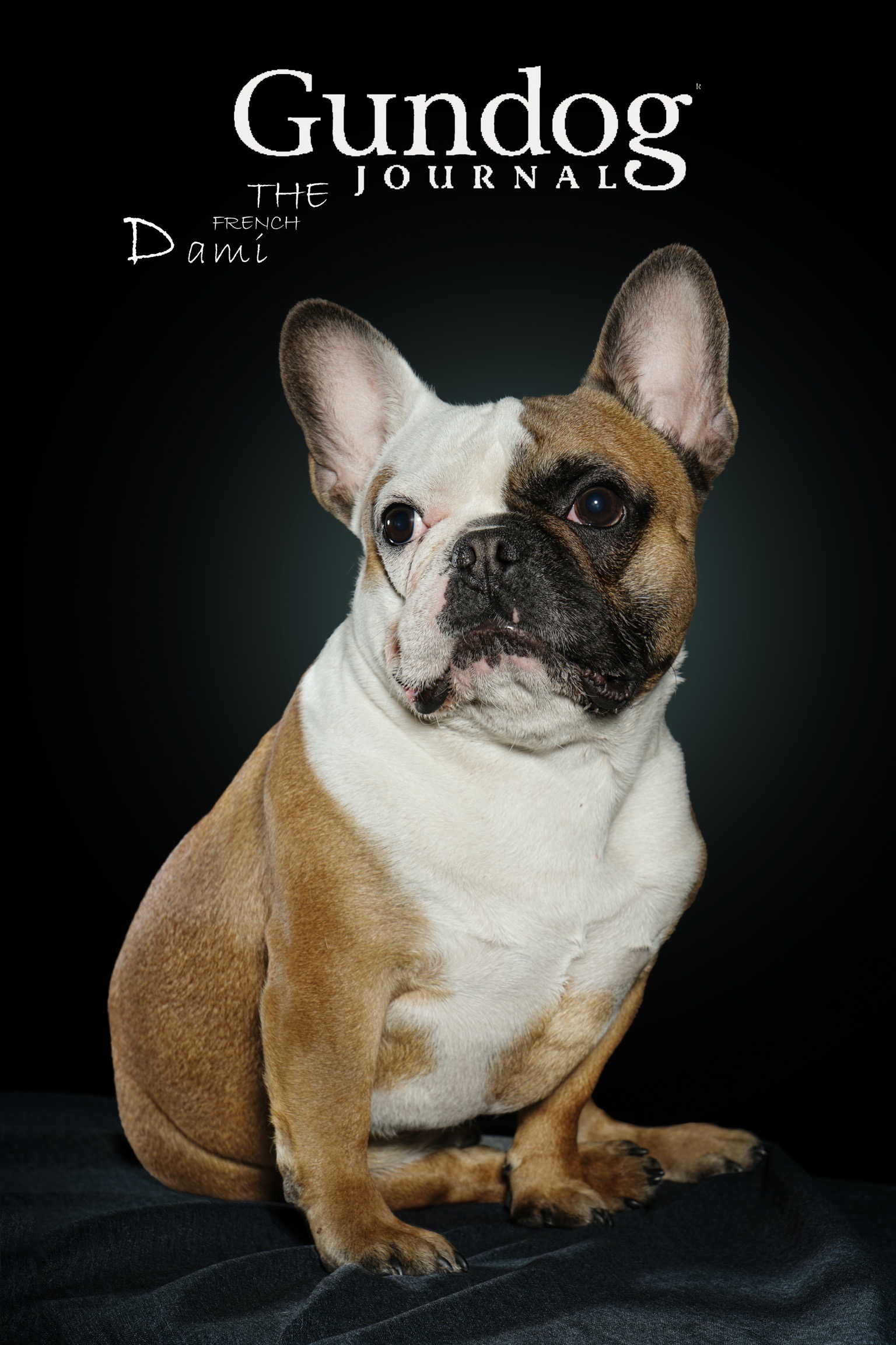 Mehdi Ghasemi PHOTOGRAPHY